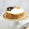 Click to see more photos of Carrot Walnut Cake